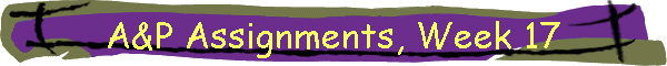 A&P Assignments, Week 17