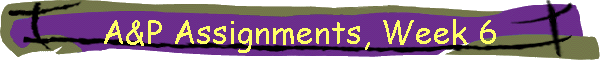 A&P Assignments, Week 6