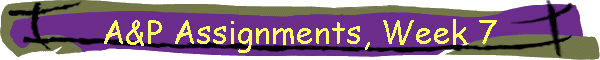 A&P Assignments, Week 7