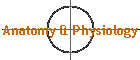 Anatomy & Physiology